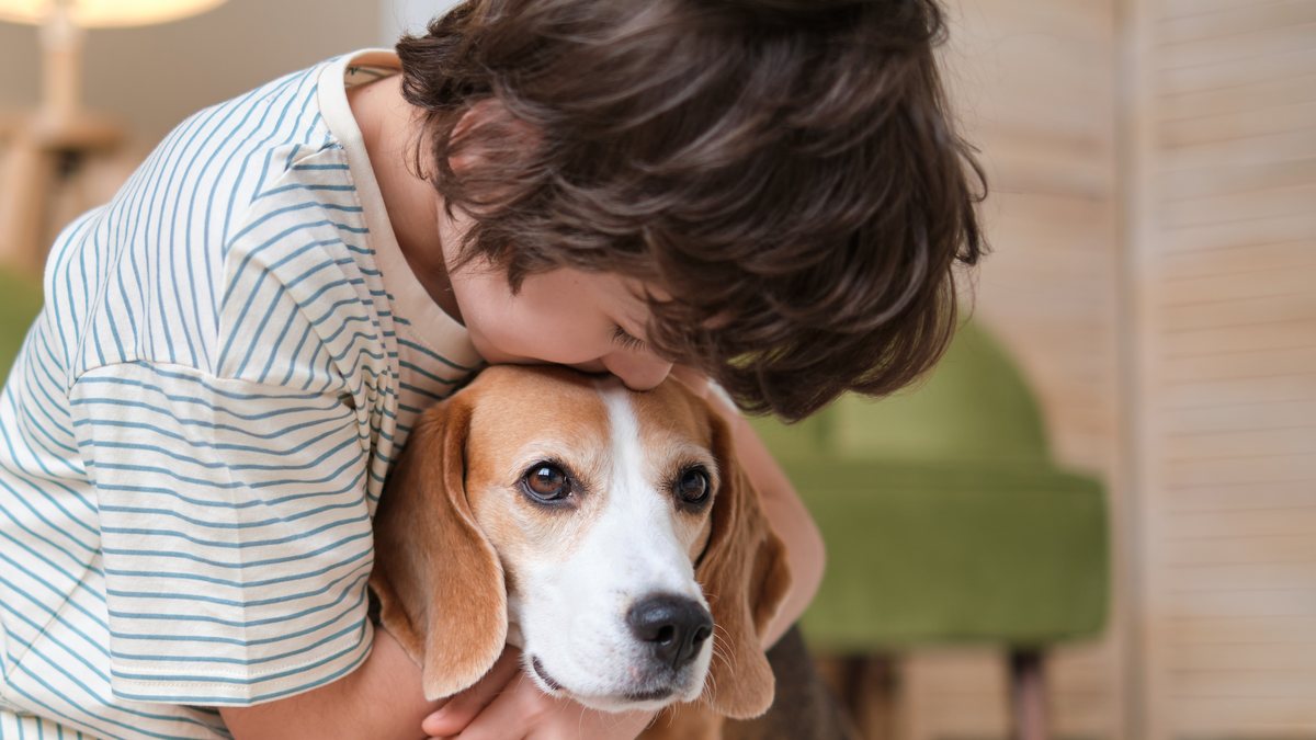 A boy leaning down to kiss his beagle on the head at home
