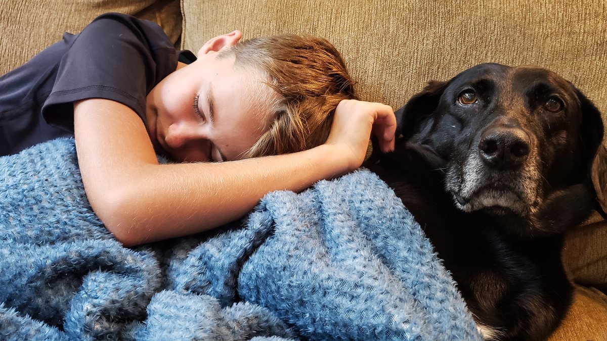 A boy asleep on the sofa under a blanket with a black dog resting beside him