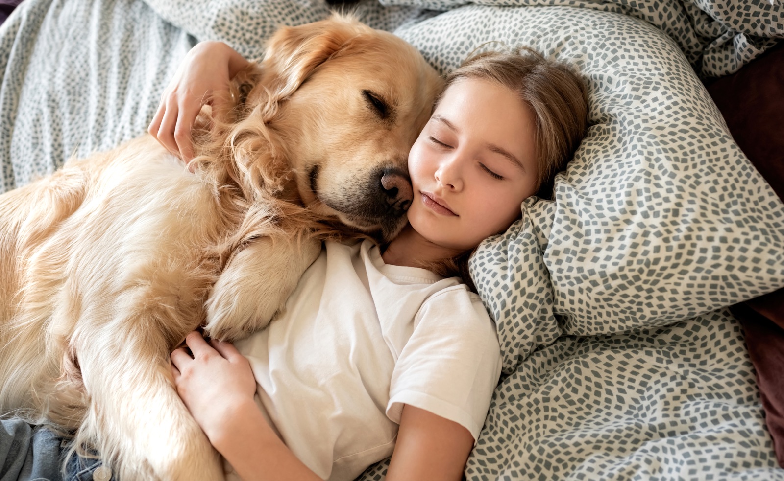 A young girl sound asleep with her arm around a golden retriever beside her in bed