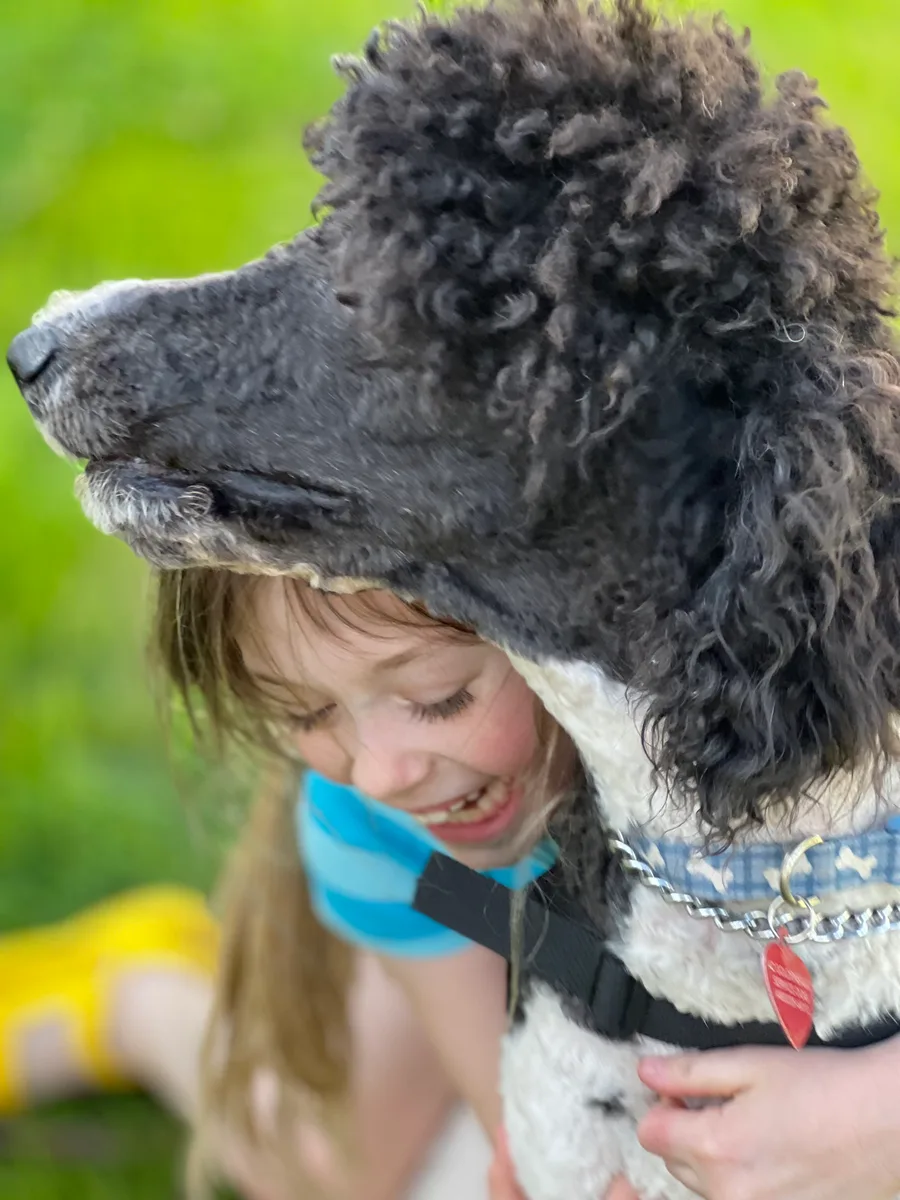An Arizona Goldens service dog with the child it was placed with